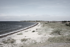 Killikus&reg; Fotographie